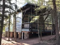Rock Rest Eco-Cabin on 2 acre forested lot. Mins from Wolf & Wildlife Sanctuary.