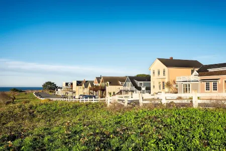Mendocino Coast Cliffside Cottage—Shangri-La Отели рядом с достопримечательностью «Наварро Пойнт Презерв энд Синик Трейл»