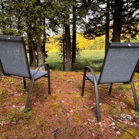 Peaceful Basement Apartment among serene woods, paths, and a stream near Acadia