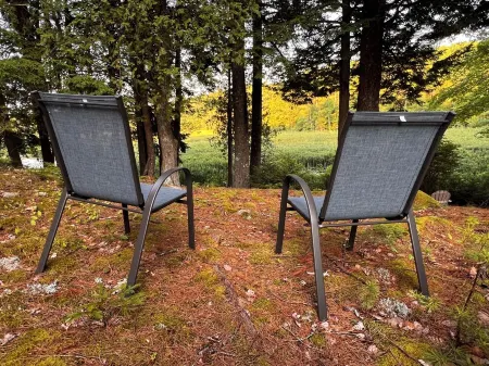 Peaceful Basement Apartment among serene woods, paths, and a stream near Acadia Отели в г. Маунт Десерт