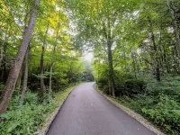 Saugatuck perfection! Spacious & far from crowds, yet close to town.