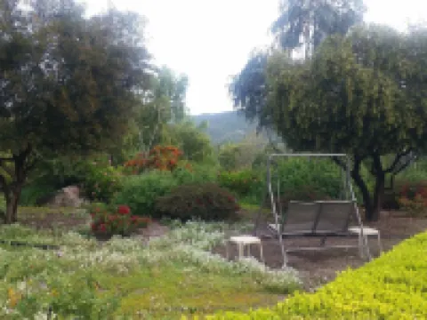 1BR Guest Apartment On Private Estate -KING BED- Pick Oranges by the Front Door Hotels in Vista