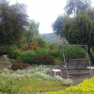 1BR Guest Apartment On Private Estate -KING BED- Pick Oranges by the Front Door