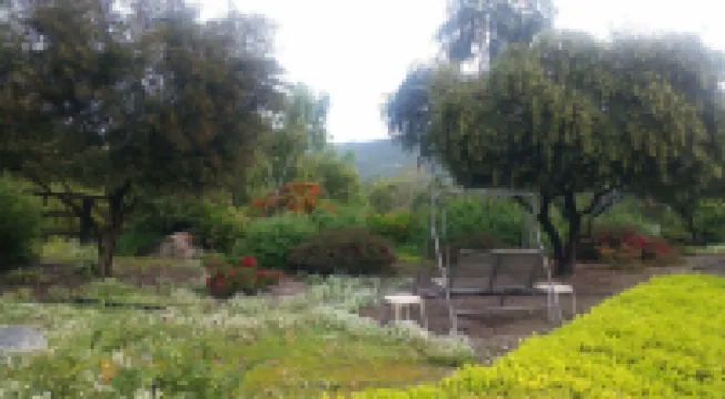 1BR Guest Apartment On Private Estate -KING BED- Pick Oranges by the Front Door