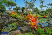 Recently Updated Beachfront Oceanfront Condo! Walk to Old Town Kapa'a Hotels in Kapaa