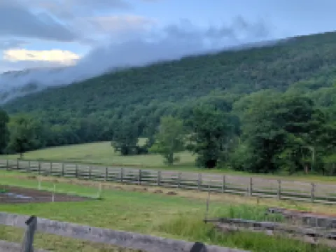 Cozy Creek Cottage, situated between the beautiful rolling hills of Italy, NY 이탈리 호텔