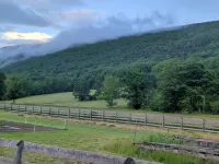 Cozy Creek Cottage, situated between the beautiful rolling hills of Italy, NY Hotels in Italy