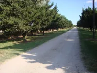 2 to 3 person gîte with jaccuzi in Camargue on the banks of the Petit Rhône.