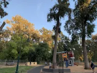 Parkside Cottage on Bidwell Park! Enjoy the trails and perfect location to all!