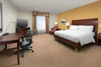 Hilton Garden Inn Odessa Hotels in Odessa