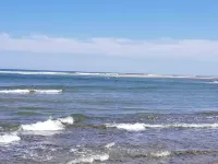 Bright, spacious, private beach home. Big backyard, firepit, deck. Family fave!