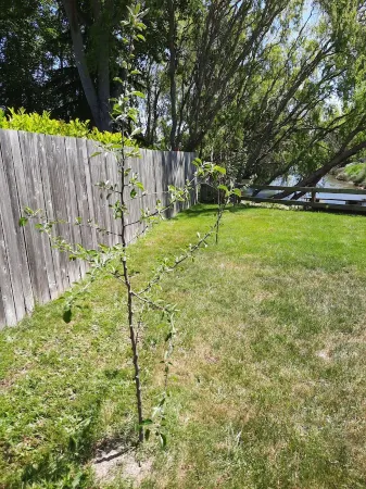 LAUGHING DUCK RANCH.... Canal property and just steps away from the beach! Отели рядом с достопримечательностью «Нью Дангенесс Лайтхаус»