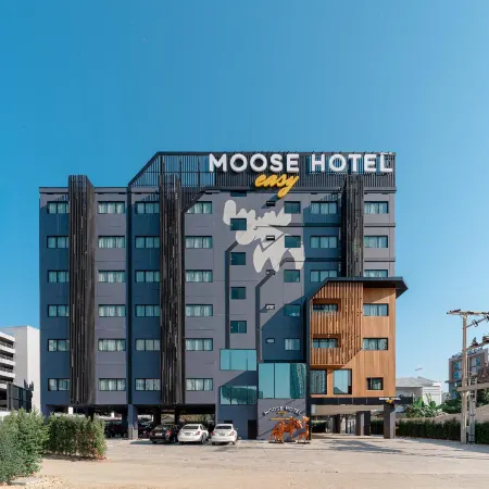 Moose EASY Hotel Отели рядом с достопримечательностью «Академия Dara»