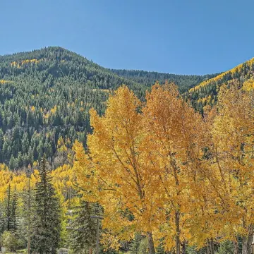Hot Tub - Cozy Fire - Mtn Views - Free Vail Ski Bus!