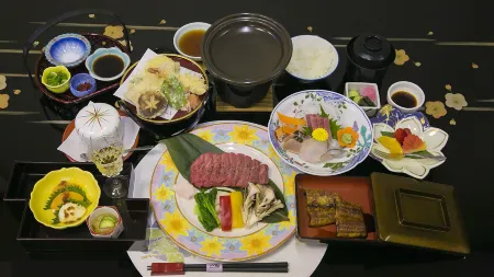 Shinshiro Kanko Hotel Отели в г. Синсиро