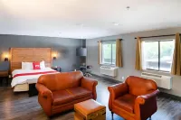 The Infusion Beach Club