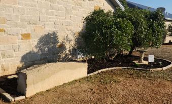 Unit 4 Provence Passage Lavender Dreams