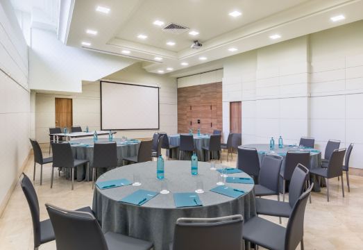 옥시덴탈 세비야 비아폴 객실