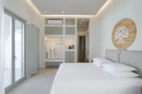 Kedros Villas Hotels in Agios Prokopios