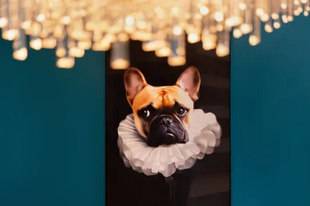 Urban Design Suites Отели рядом со станцией Центральная железнодорожная станция Нюрнберга