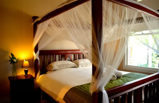 小河住宿加早餐旅館