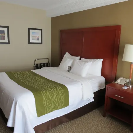 Comfort Inn Dartmouth
