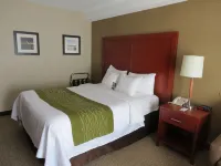 Comfort Inn Dartmouth - 2 stelle