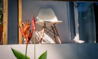 Somewhere Bocas del Toro