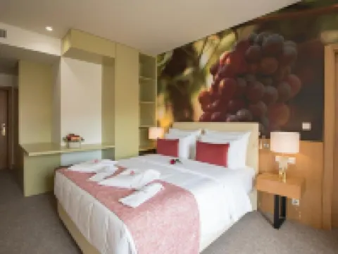 Douro Castelo Signature Hotel & Spa Hotels in Almacave