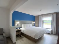 Comfort Inn Near Downtown & Blue Ridge Pkwy - piscine