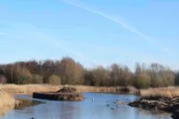 Cozy Lodge Sleeps 4 in Barton-Upon-Humber Hotels in Barton-upon-Humber