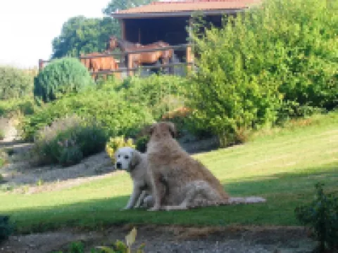 魯羅特小屋旅館酒店