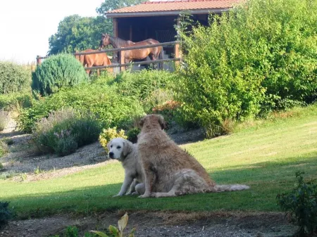 Gite Hôtel Chambre d' hôtes et Roulottes et du Ternois Отели в г. Перн