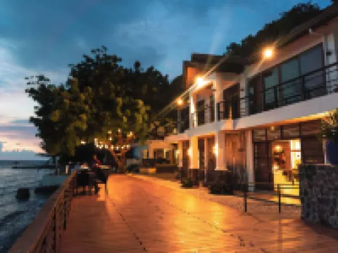 アルタマレ ダイブ アンド レジャー リゾート アニラオ バタンガスのホテル