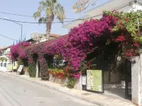 Harry's Bar & Apartments
