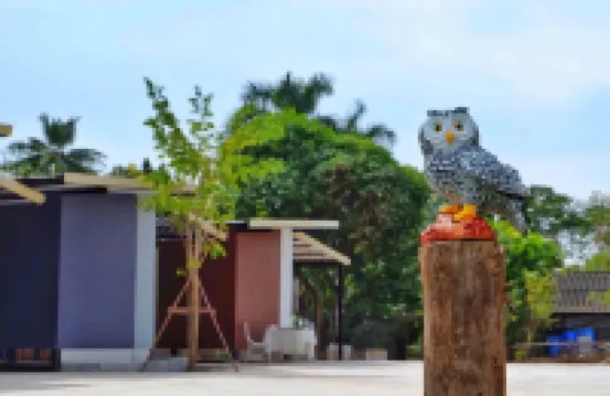 ฮ.นกฮูก รีสอร์ท อ่างทอง โรงแรมในอำเภอ ไชโย