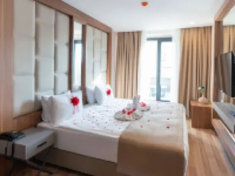 Four Sides Taksim Lion Hotel&Spa Hotels in Istanbul