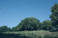 Casa Rural Toki Ona Hotels in Aunamendi