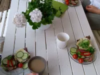 Polhem Bed & Breakfast Hotels in Falun