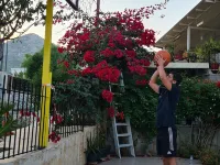 Villa George - Family Holidays Hotels in Marathon