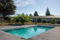 Hotel Ashburton - piscina