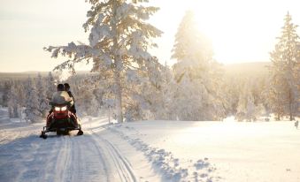 Saariselkä Inn Majatalo Panimo