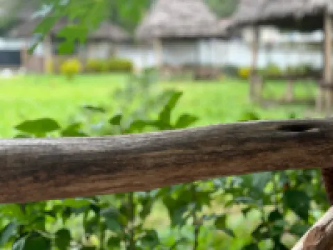 แซนซิโก