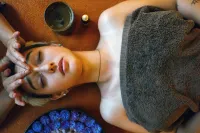 Puteri Gunung Hotel - spa