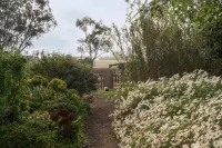 Azalea Cedar-Rose Barossa Valley Villa