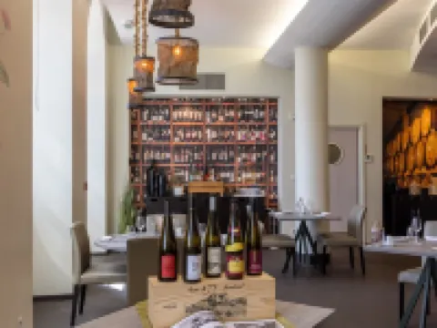 瓦勒-維涅酒店 科爾馬酒店