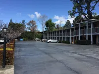 Oak Motel - Motels