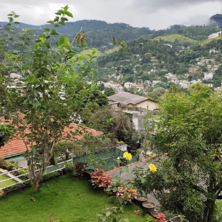 Marvel Hills Kandy