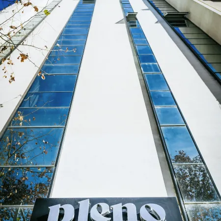 Pleno Madero