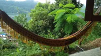 Peace Guest House